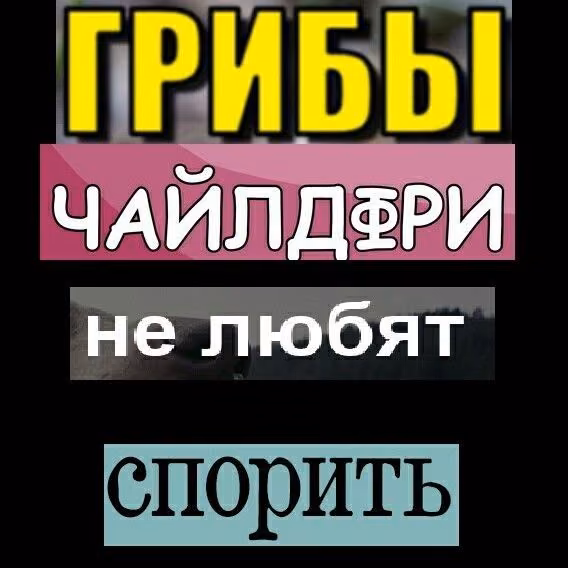 e5fa369f7df28b102fa2f1bf7395f35b.jpg