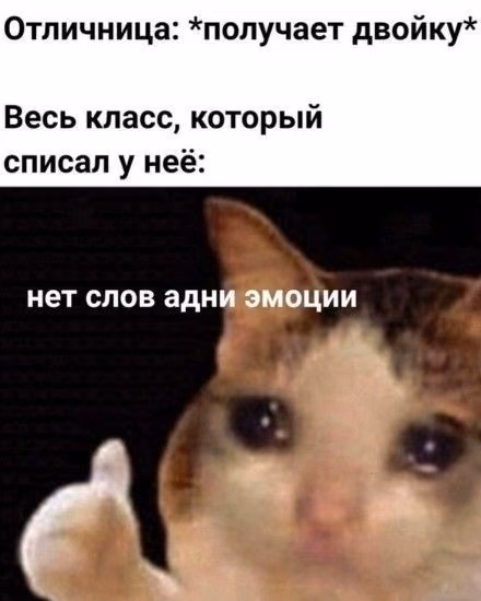 e5ff531c042db3fa463dc169da2940b2.jpg