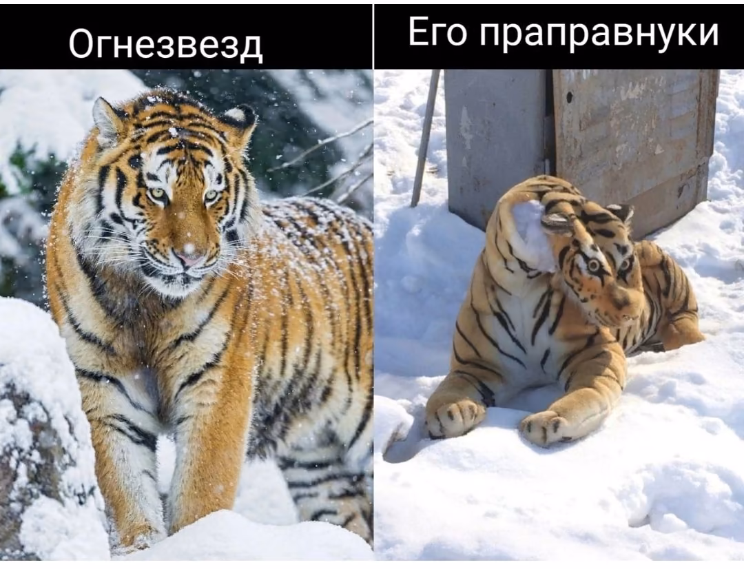 e60f26a798dc0c5d078d50be9550f5e6.avif