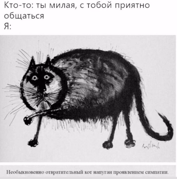 e61308b8750055b4c0de8cafc76b6731.avif