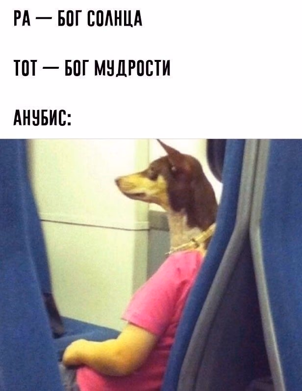 e63d5fc487e033733c098cabef3cc97c.avif