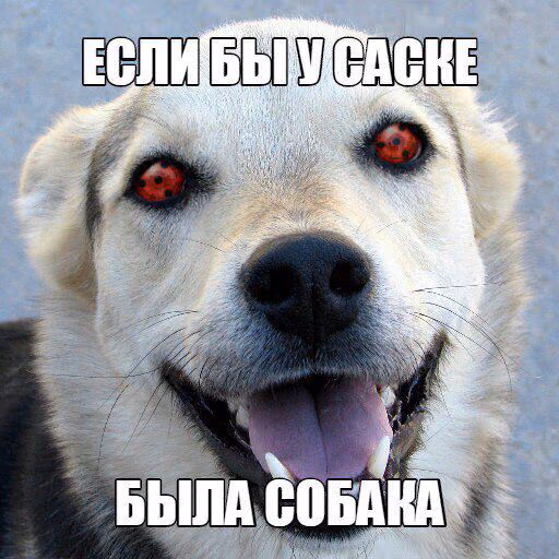 e63d685c021e5cbbe9cf7e6dfb52a7a8.jpg
