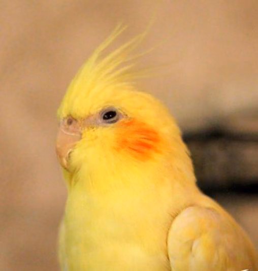 e673915923fa8f41ea495aadad5553b8.avif