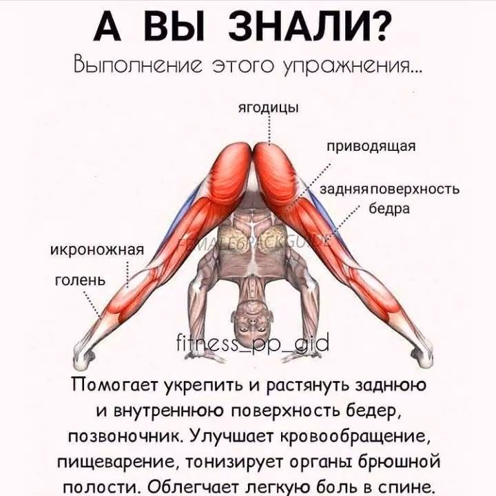 e68f045bb9bd893f98d2ab247757f2ff.avif