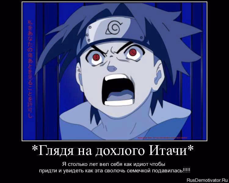 e68f40c6021e13be3de46a01f8faed46.avif