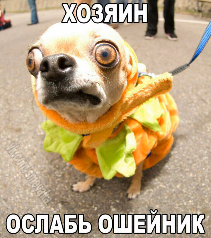 e692b5cd60748eee8648483a56f4a5d4.jpg