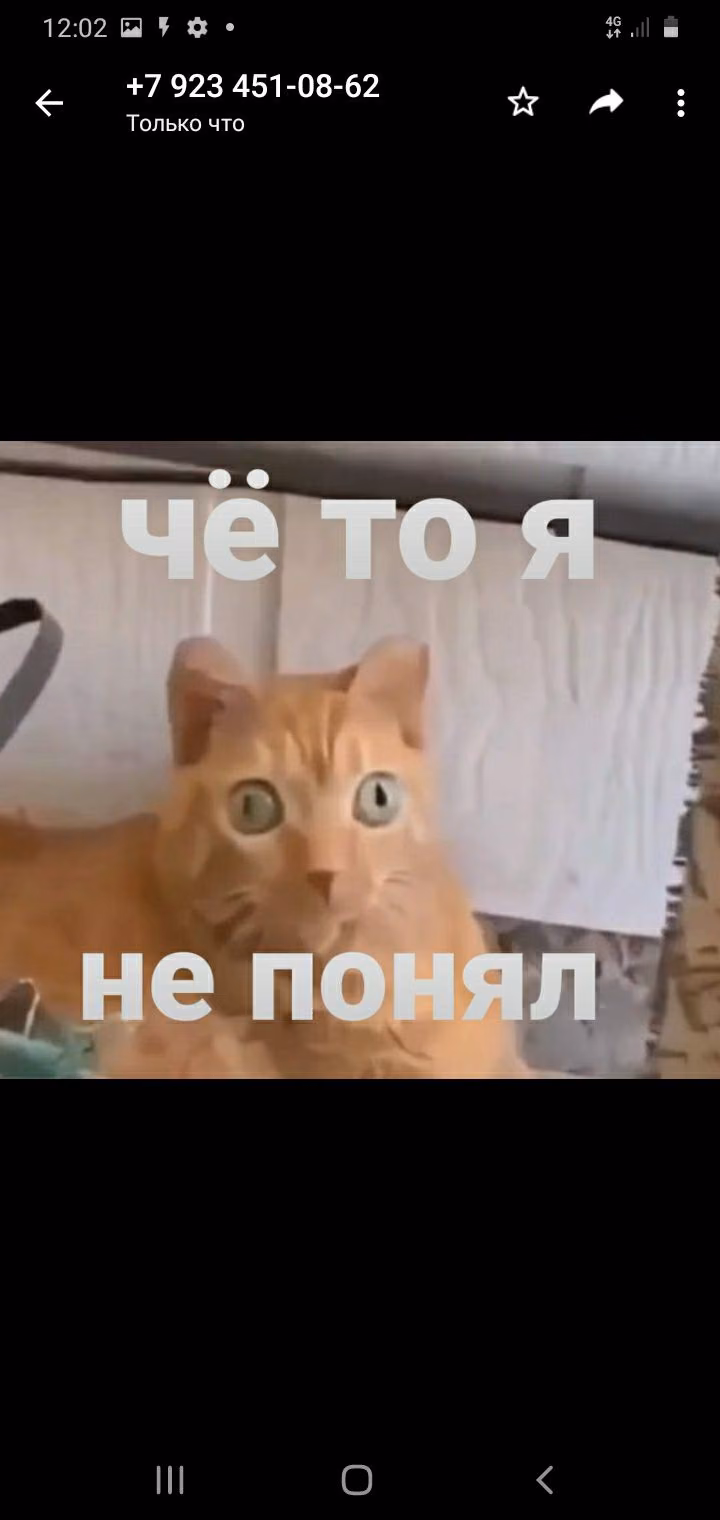 e694c5cec6cda90212902018a516035f.avif