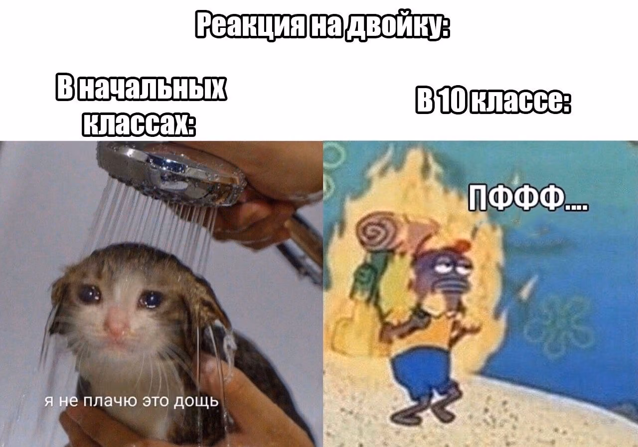 e698772d1a83850d9231ba62a5e59203.avif