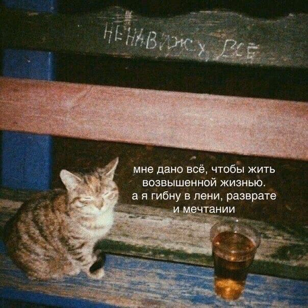 e6b1bcefaaea13b806c99a1ab56efb0b.jpg