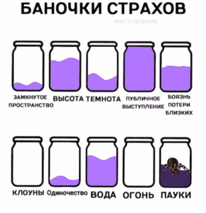 e6b1e5103046848153ba13a60ab255f7.jpg