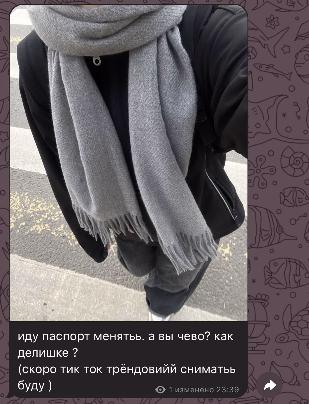 e6b2242533e844fd7f4d4c9fed187fad.jpg
