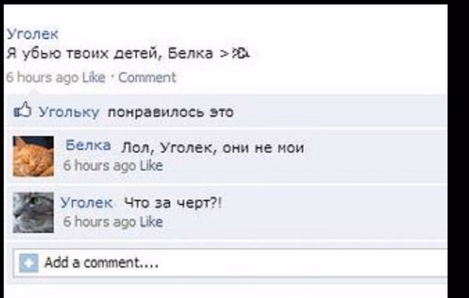 e6c021f95e3b3ff4b9726e51eebbf16b.avif