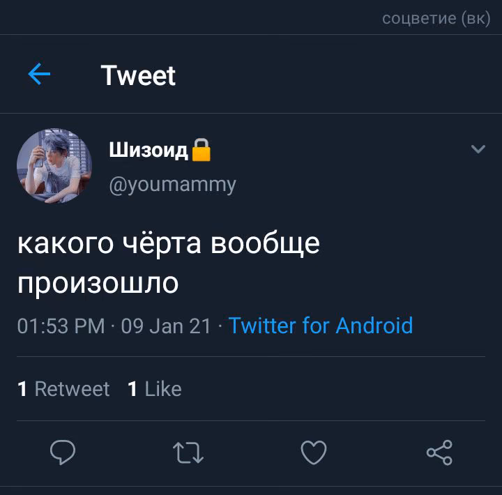 e6d41d3527f416c4dc994e113caf16ab.avif