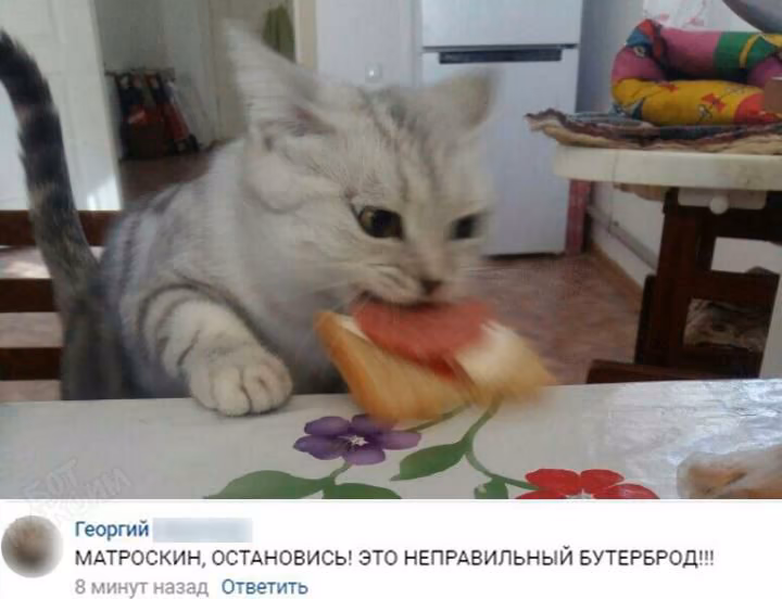 e6e78eb5240b4d8b440c220911c19579.avif