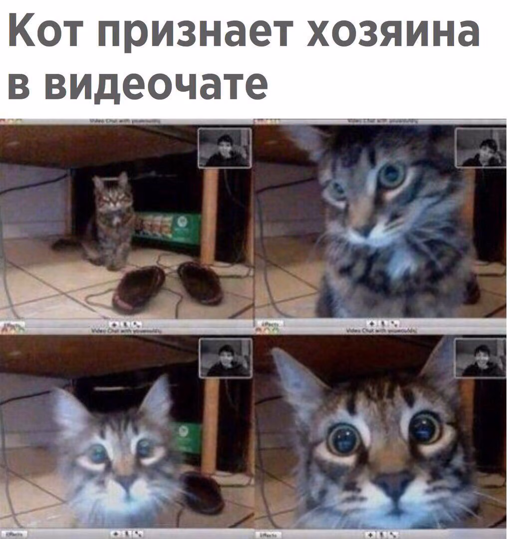e6f0d91eda0b7fc3b3ab9daa5fed69ee.jpg