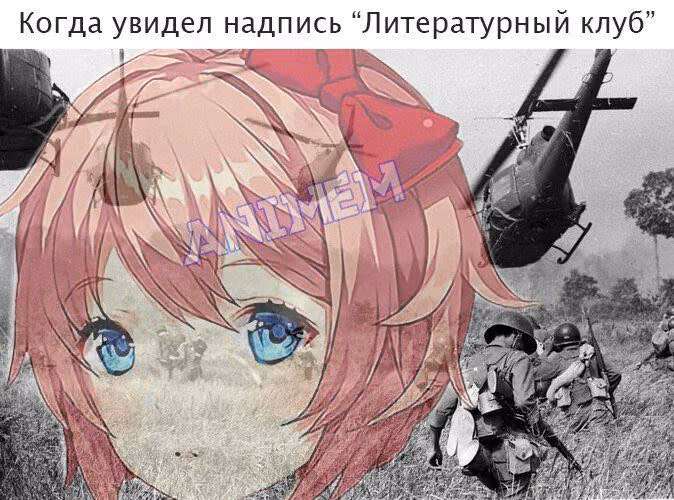 e6fe534930b8ec808946a671a018167f.avif