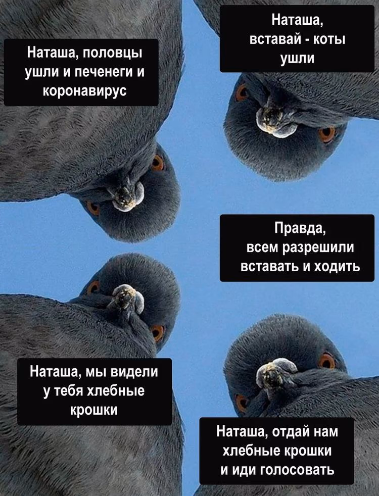 e70df420caa9c9c469eb01a598904023.jpg