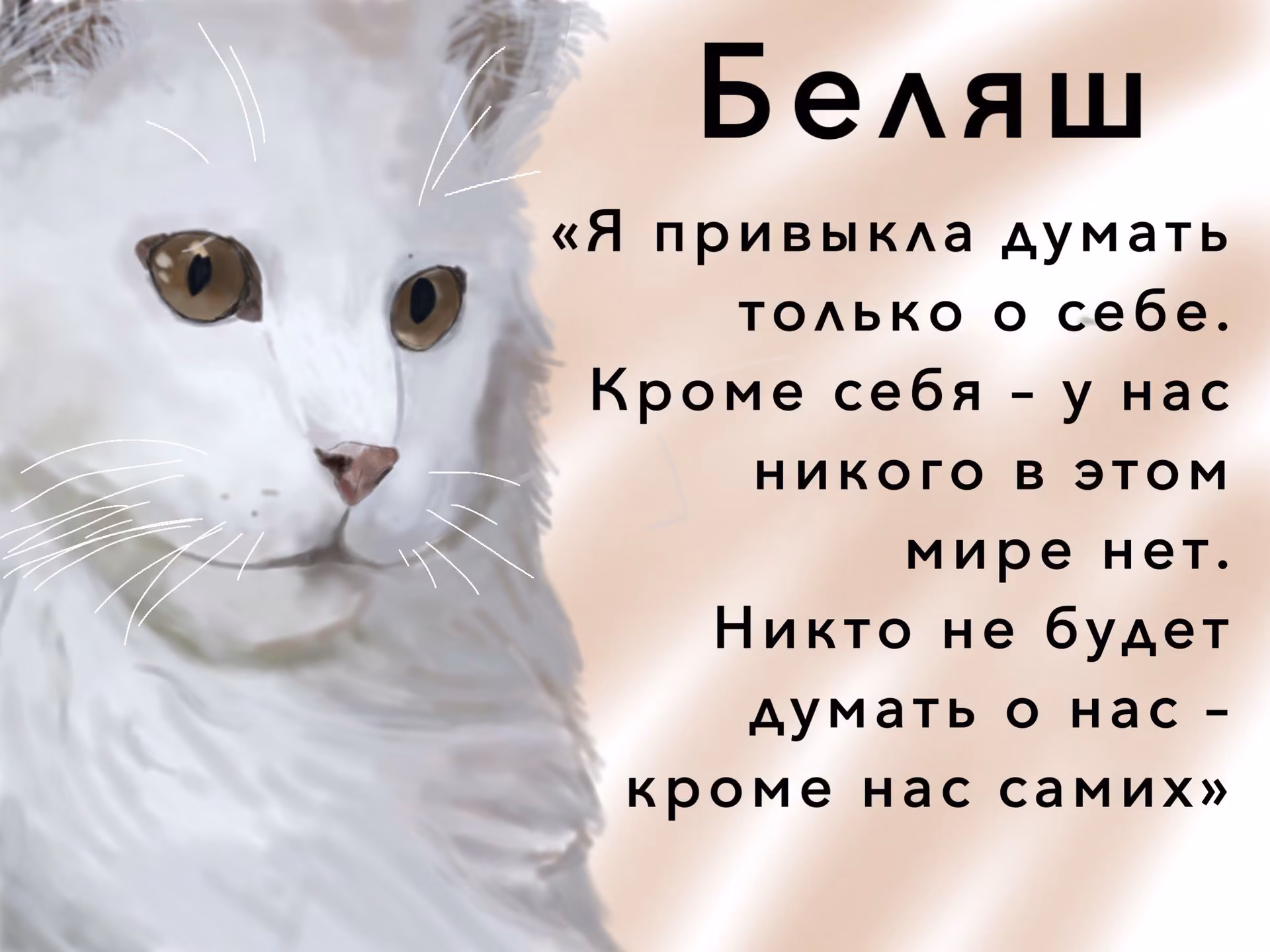 e710be4a95c896f7af782bba75a00026.avif