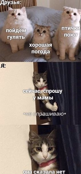 e711c7d7fd7799c9e45b3b4cf547716c.jpg