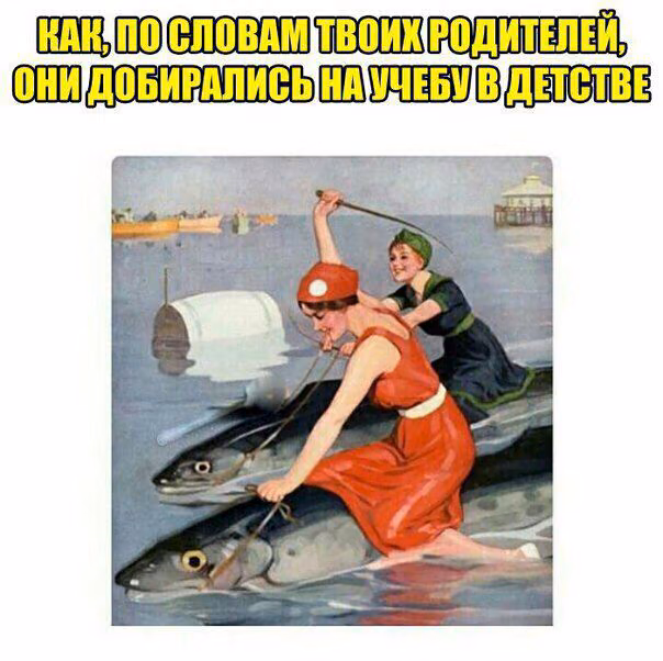 e728b5ca7bc8be34fdbf8de1173d3095.jpg