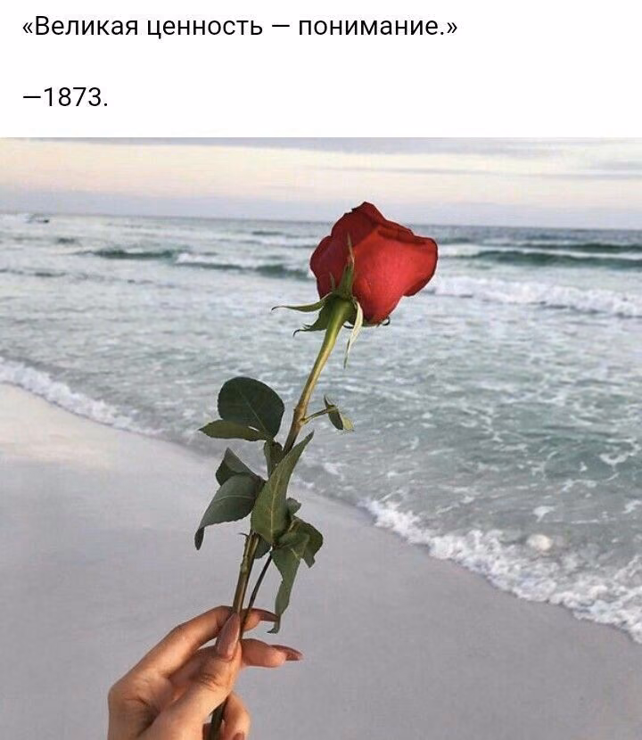 e72cb83327802517bf18fd03c50d4865.jpg