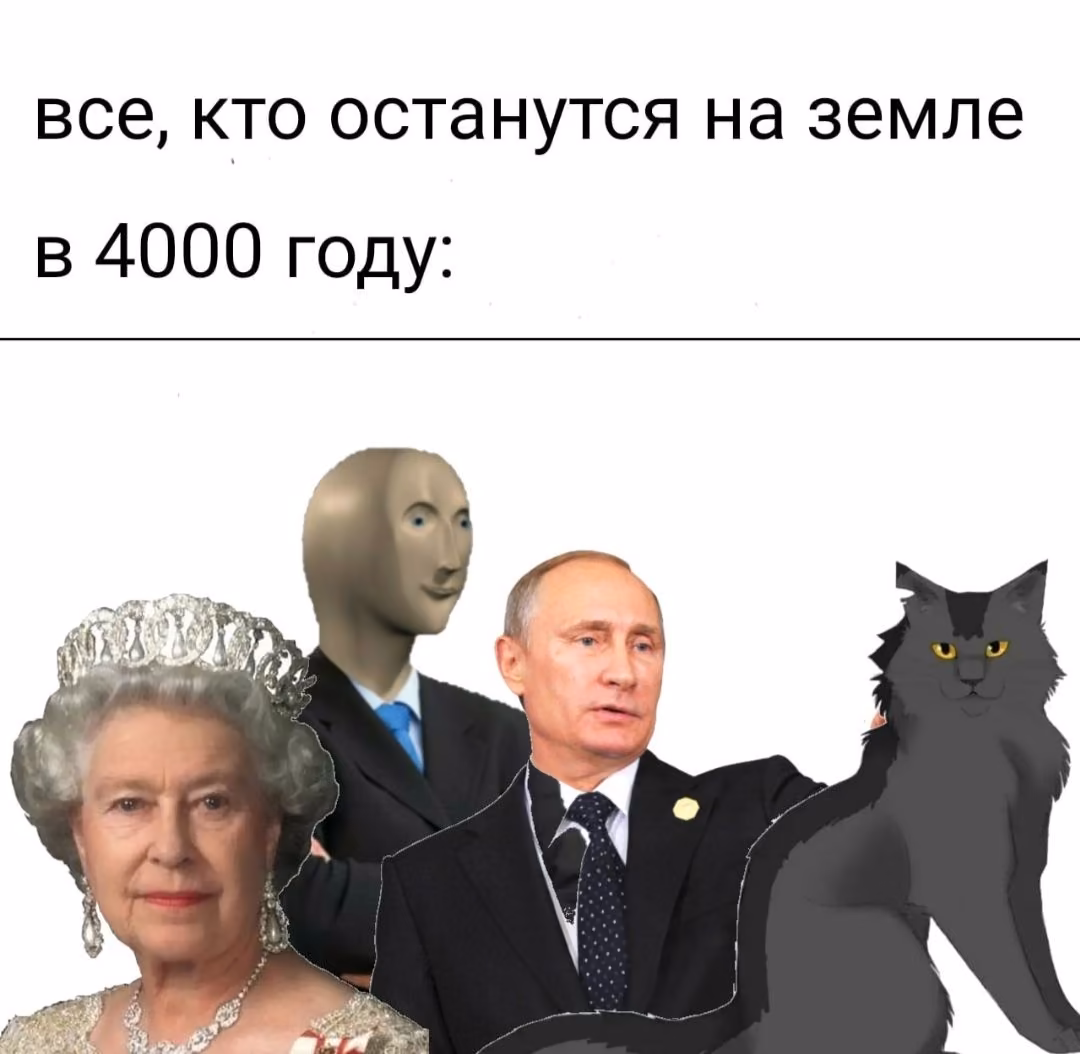 e73750722130ea514041071bd66e3438.avif