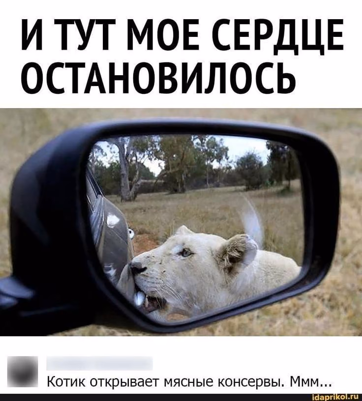 e740c09212bdea7e47e94c91f2cd2b2b.jpg