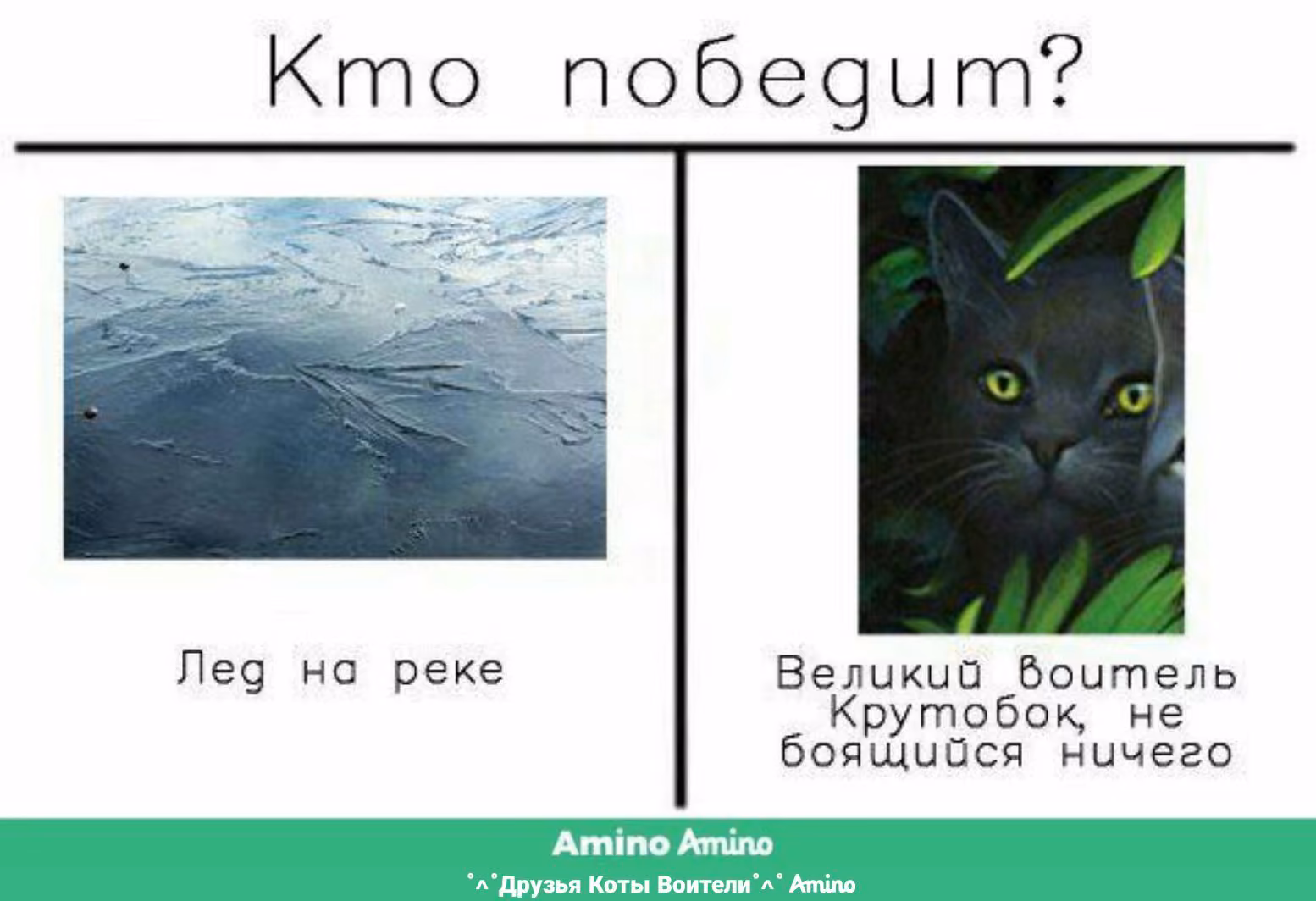 e743f510fb220ecb5c630f60c184e990.avif