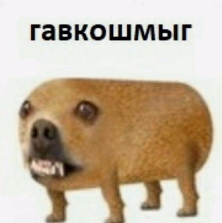 e787110bfecb8a9ed010c2ce7bba5a65.avif