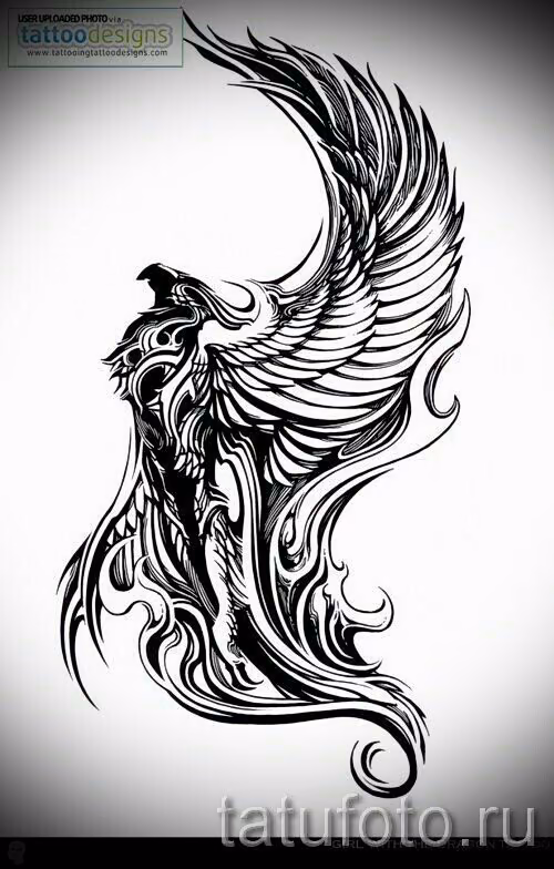e78f91c0d1a1b36409a20dcfbe445b62.avif