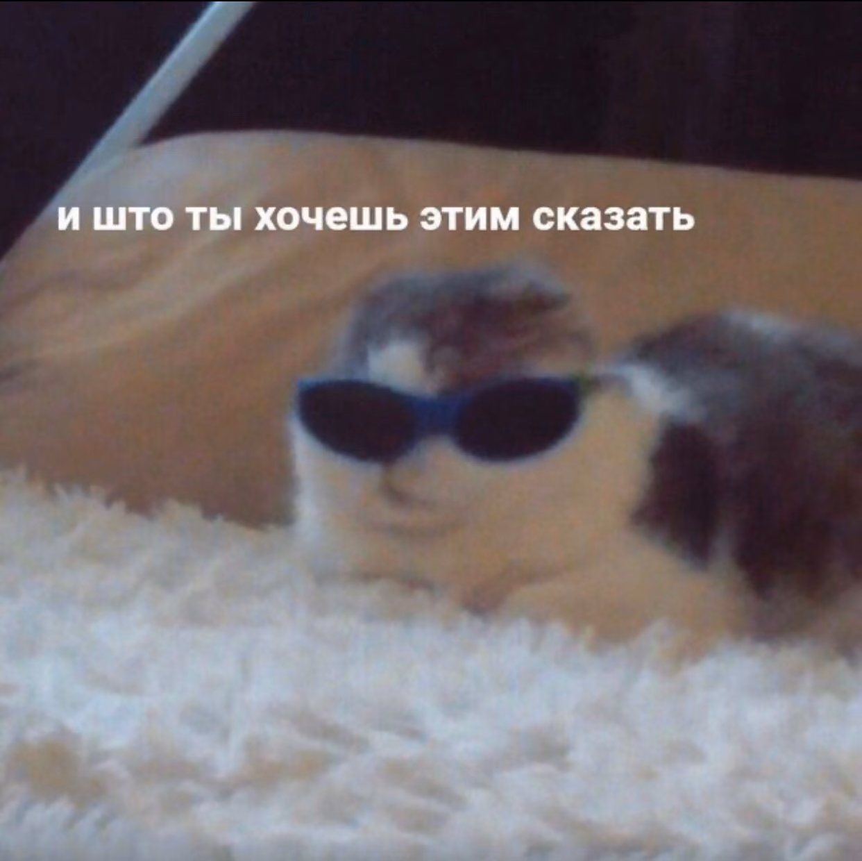 e790bb8852b58ea1ea0bbecd7f1ce933.avif