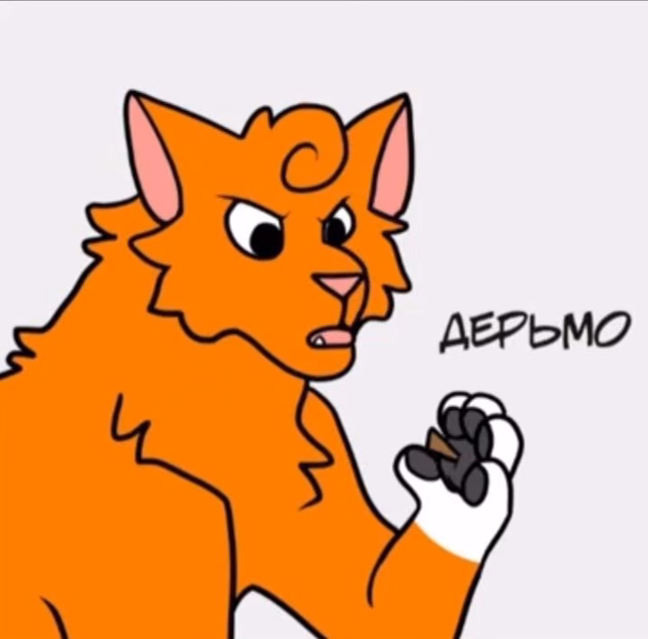 e7a85ef215bf06530e10f2fcc5d4fdde.avif