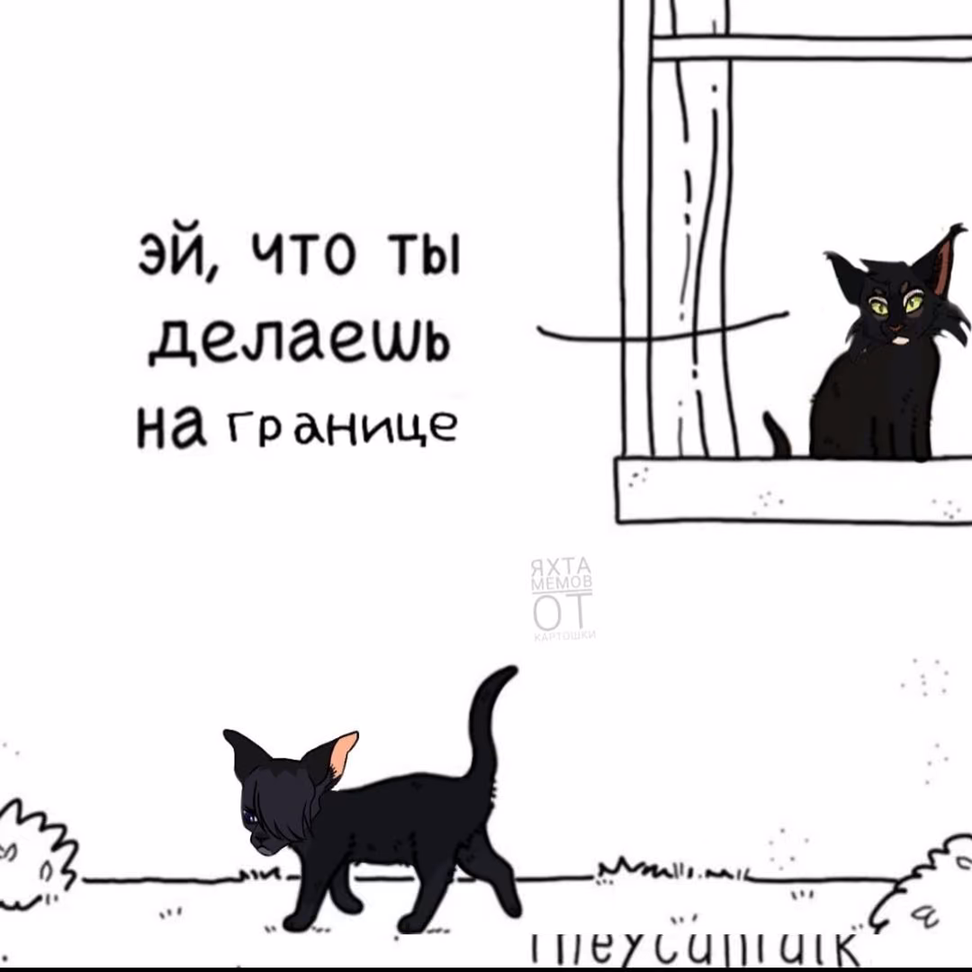e7a9283036cfa69c984f04eb404e6593.avif