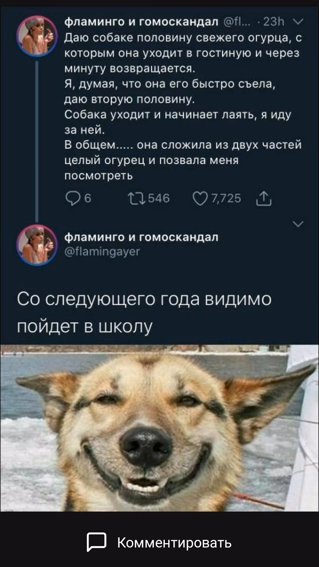 e7ab6d004ec4a7f682c84234d37fba6d.avif