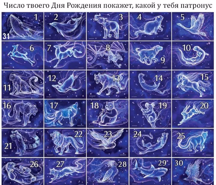 e7b4189f278dd473bbe444af68da2073.avif