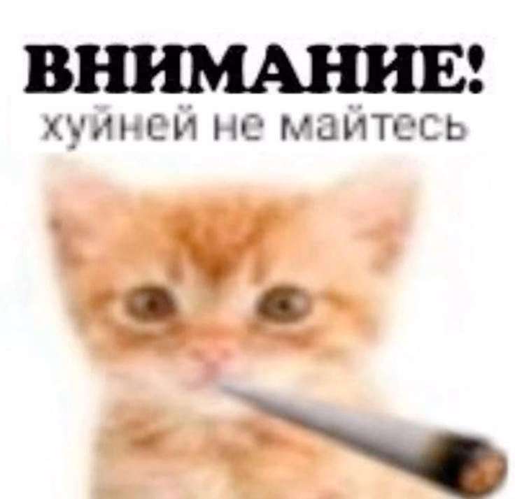 e7c16f645be73459a18ca0727738bdbd.avif