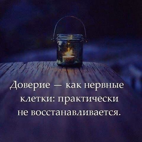 e7c63464cf848551263b1523b6993ade.jpg