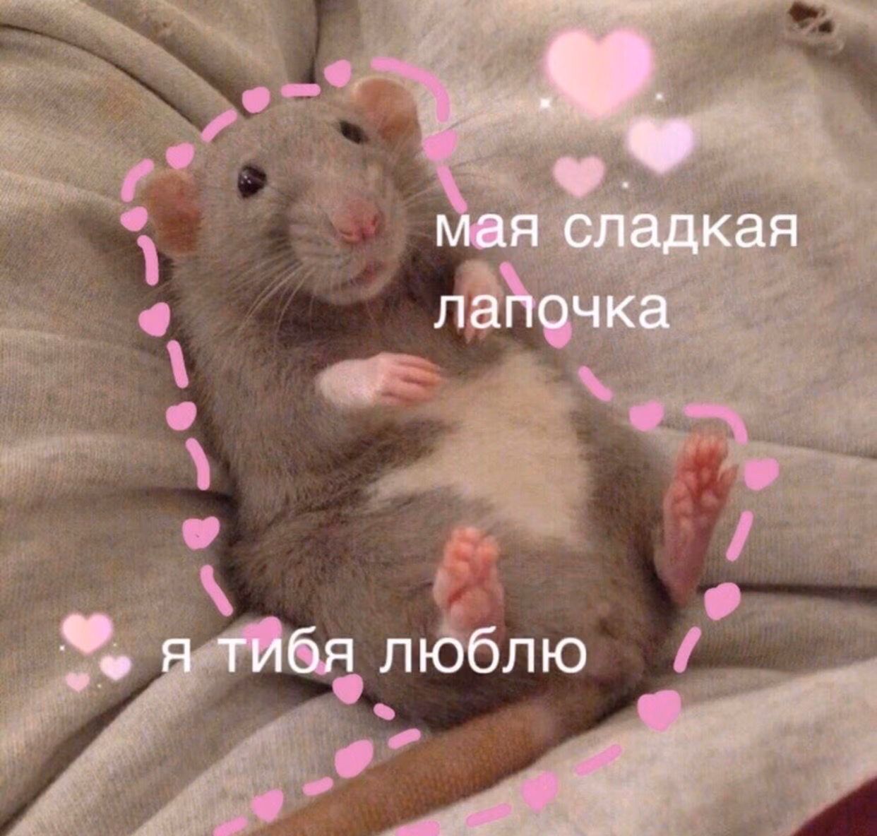 e7c9ebcc0559e552aa83d8f2f4c663b1.jpg