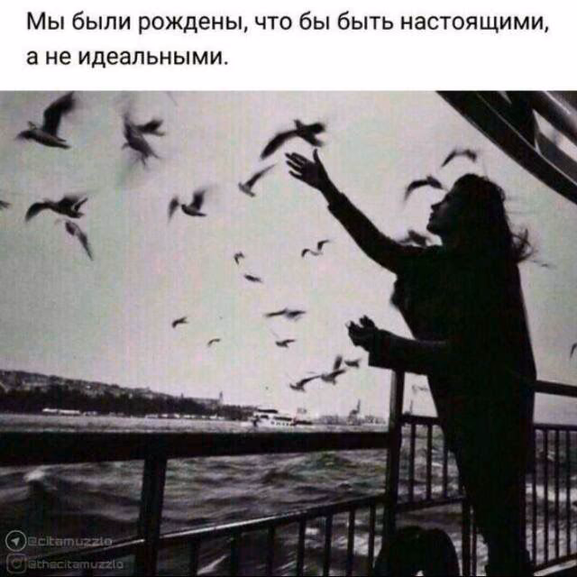e7c9fc15cc8a4243937b800869e0566b.jpg