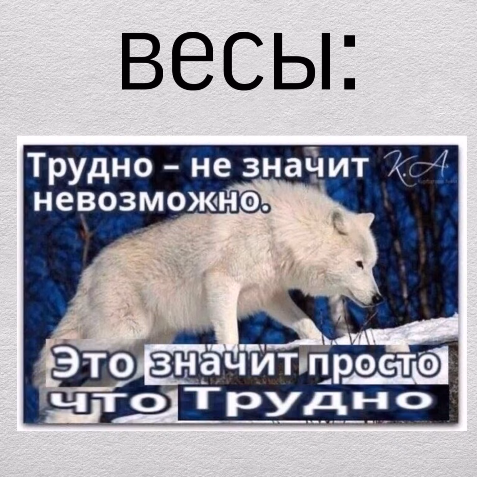 e7d0390b9ed95dfe602dfa455098b876.avif