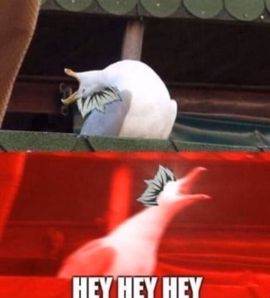 e7e544bf87e83c68507fad1d5a8891e6.jpg