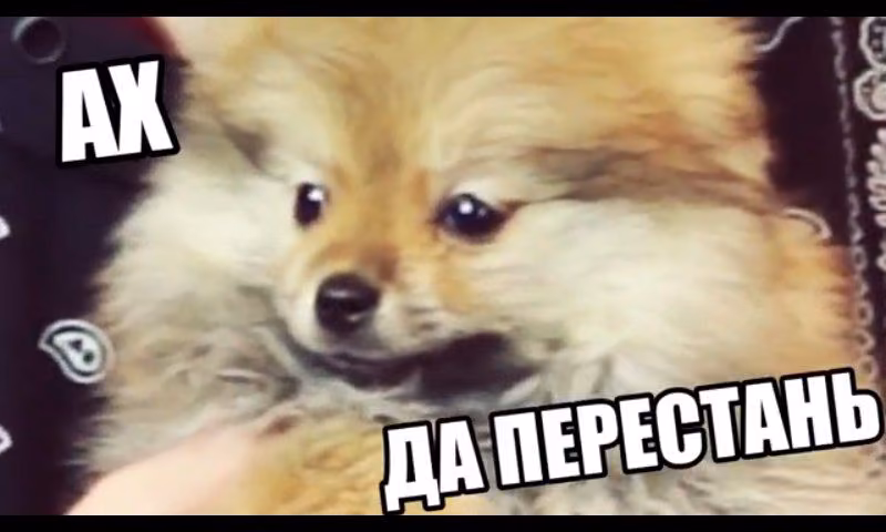 e7e750cc402874f9f9f4167715db092f.jpg