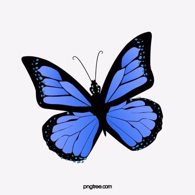 e7ebea62ff1d12e4f859cf57b03e060e.jpg