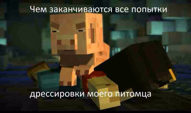 e7f6f6d7b8e5ed709002565d0eee5473.jpg