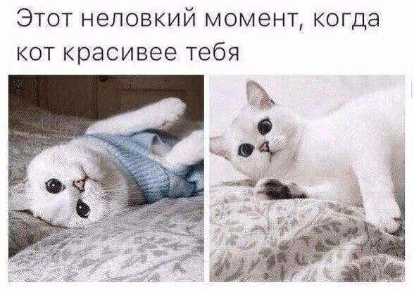e7ffe357e95b7c1936c5005f7f997c6f.avif