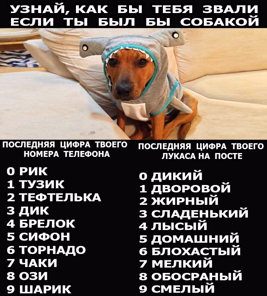 e802452933bd6698fe59b88074568b70.jpg