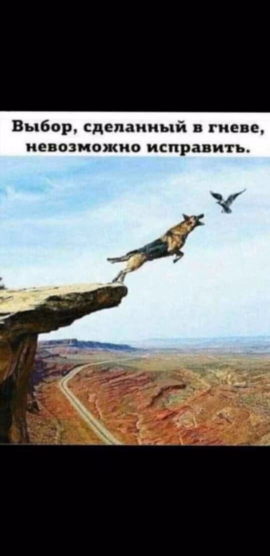 e8098ce9ec1d3613f51e38505518af52.jpg