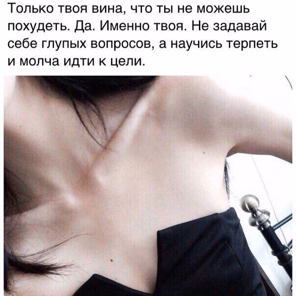 e81ba702c6bde50cd2c6225b01672f63.avif