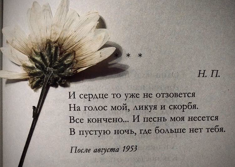 e8234b759c85c306551f6a40a8c89ef2.jpg
