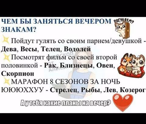 e831dd2a0db8a177d49f4b1f32664e9c.jpg